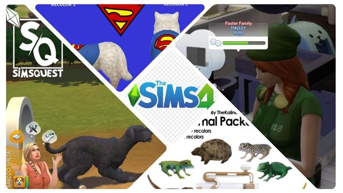 Top 10 beste PET CC & Mods in Sims 4, um in den Top 10Top 10 zu probieren