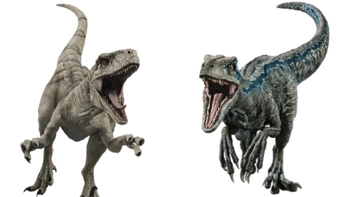 Atrociraptor vs. Velociraptor som Raptor vil vinne i en kamp?