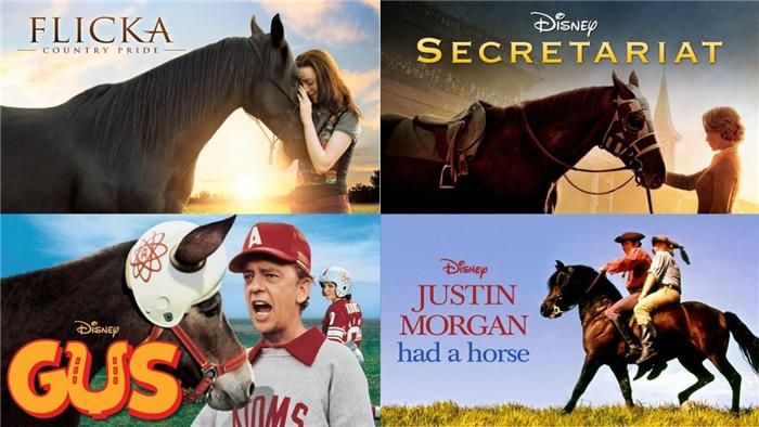 Las 10 mejores películas de caballos en Disney Plus para ver en Top 10Top 10