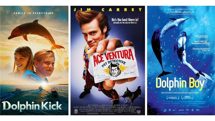 Topp 10 beste filmer om delfiner du bare trenger å se