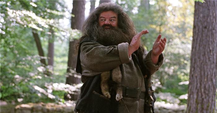 Dier Hagrid i Harry Potter og Deathly Hallows?