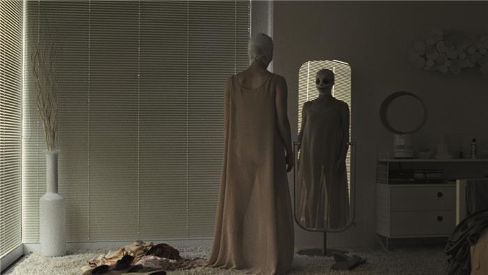 O final de 'Goodnight Mommy' explicou o que acontece no final do remake 10 top 10top 10?