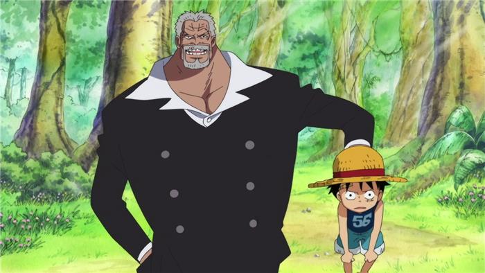 Qui sont la maman et papa de Luffy? [Tout à leur sujet]