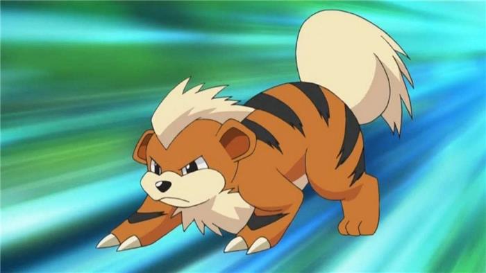 Quando dovresti evolvere Growlithe?