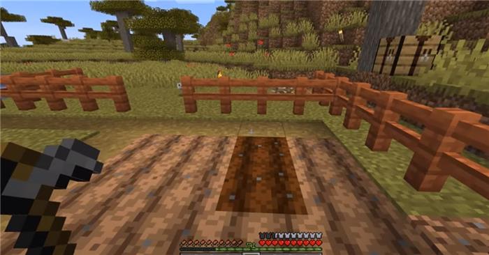 Quanto tempo leva para o trigo crescer no Minecraft?