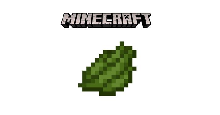 Hvordan lage grønt fargestoff i Minecraft?