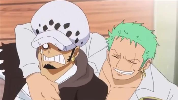 Droit vs. Zoro qui gagnerait dans un combat?