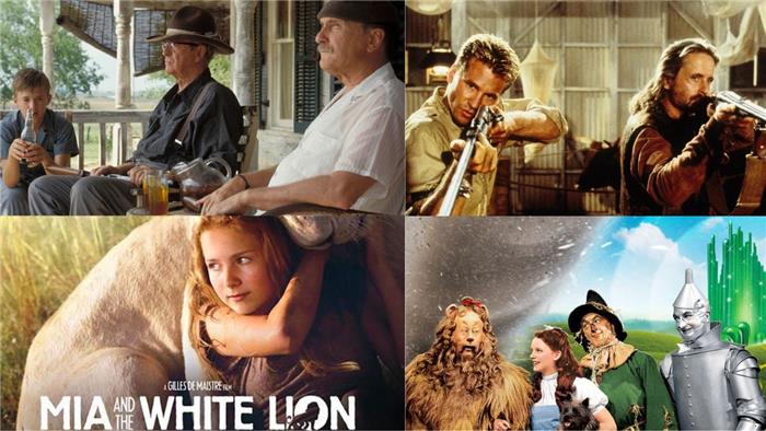 Top 10 des meilleurs films de lion et pourquoi vous devriez les regarder