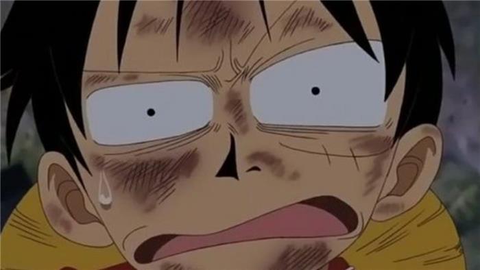 ¿Es Luffy un quinto emperador del mar de una sola pieza??