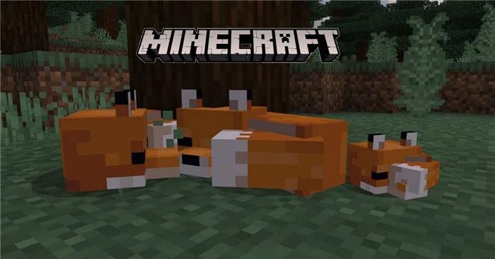 Minecraft Fox taming, avl, gyting og mer