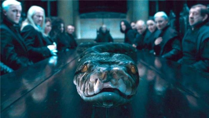 ¿Cómo y cuándo consiguió Voldemort Nagini?