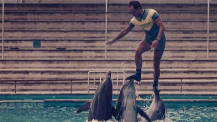 El final de 'The Last Dolphin King' explicó lo que sucedió con Jose Luis Barbero?