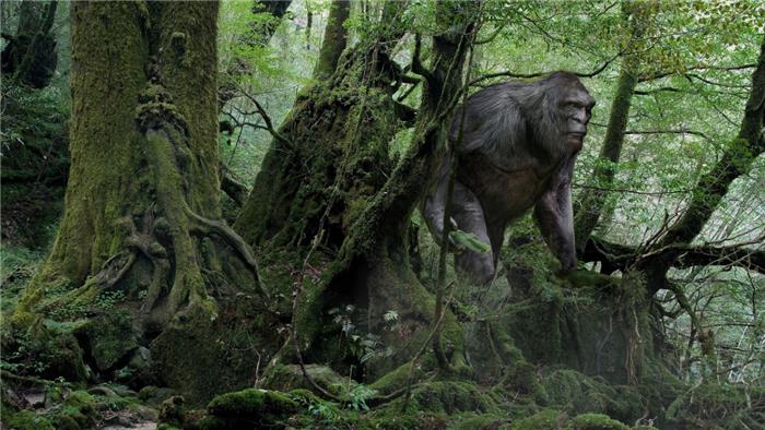 Monstruos de Small Town se dirige al Noroeste del Pacífico para explorar avistamientos de Bigfoot en el último documento