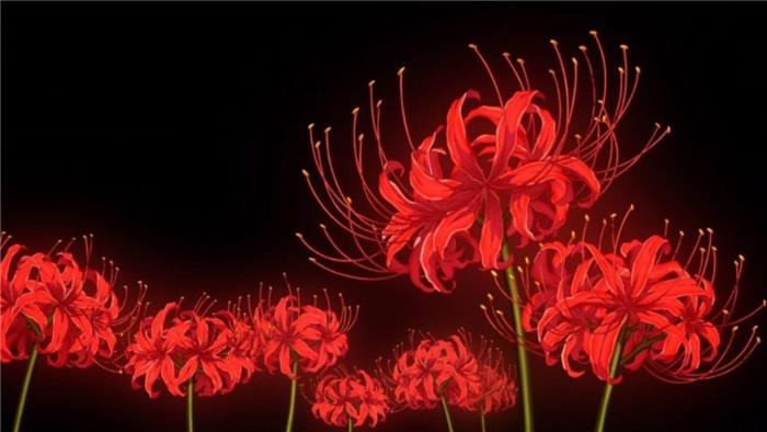 ¿Cuál es el significado de la flor roja en Tokio ghoul??