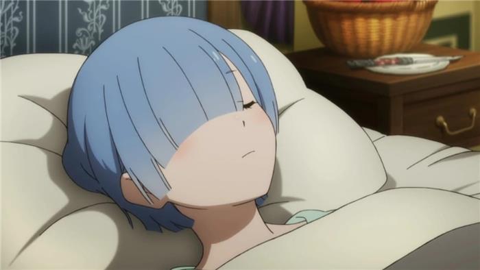 Was passiert mit Rem in Rezero und wird sie jemals aufwachen??