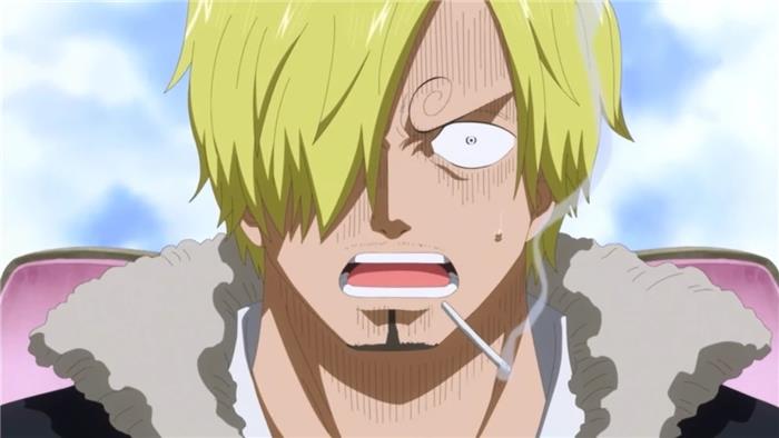 Ett stykke hva som skjedde med Sanji på Zou Island?