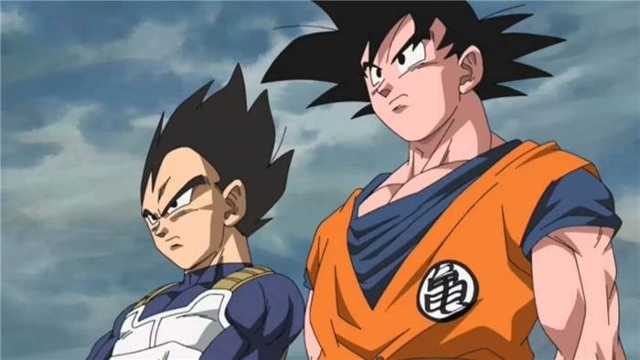 Dragon Ball sono fratelli Vegeta & Goku? Sono correlati?