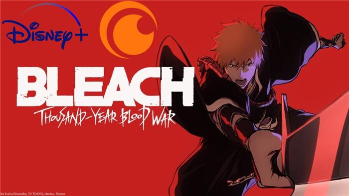 Pourquoi Crunchyroll a-t-il enlevé Bleach?