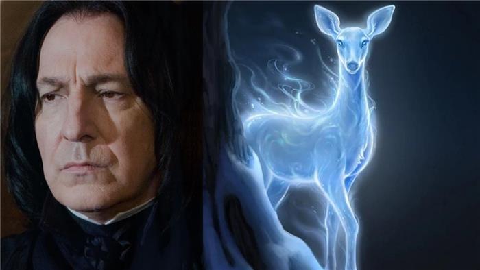 Pourquoi Snape et Lily ont le même patronus?