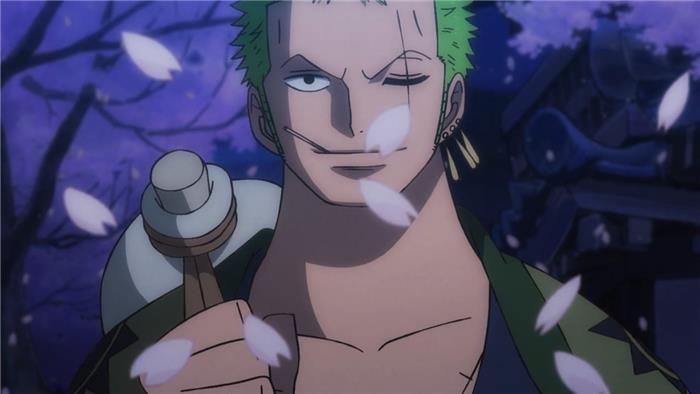 Un morceau comment Zoro a-t-il perdu l'œil et a obtenu une cicatrice?