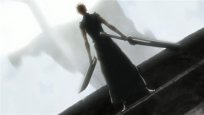 Perché Zanpakutō di Ichigo ha due spade?