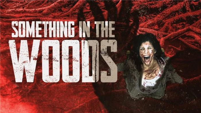 Something in the Woods recensioni due nemici costretti a lavorare insieme rendono un noioso film horror