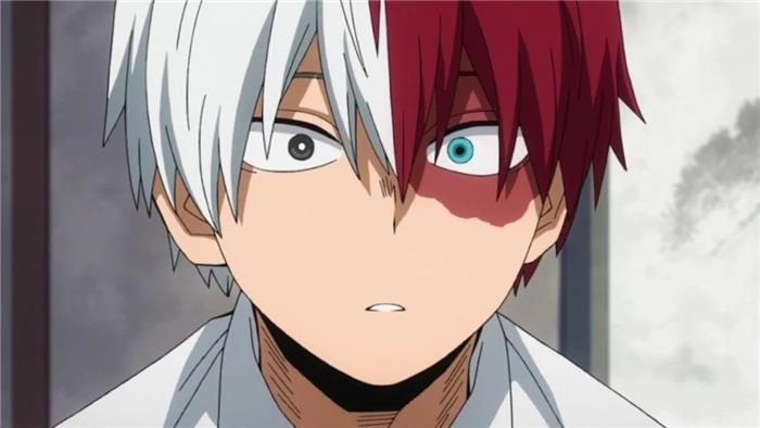 MHA, der Shoto Todoroki macht?