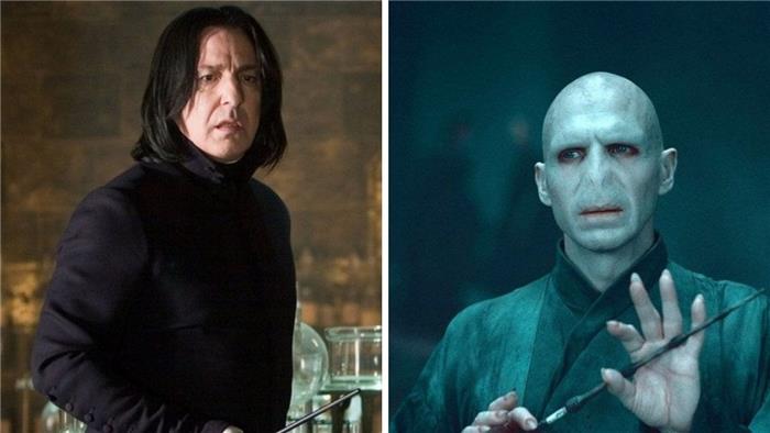 Warum tötete Voldemort Snape??