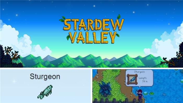 Come catturare lo storione nella Stardew Valley e le migliori sedi rivelate