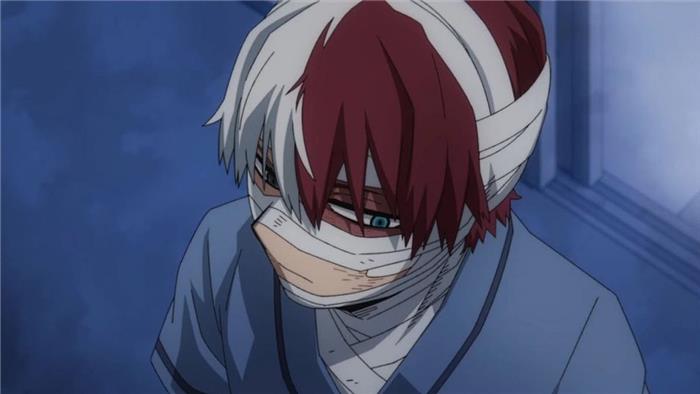 Mha shoto Todoroki morre? O que acontece com ele?