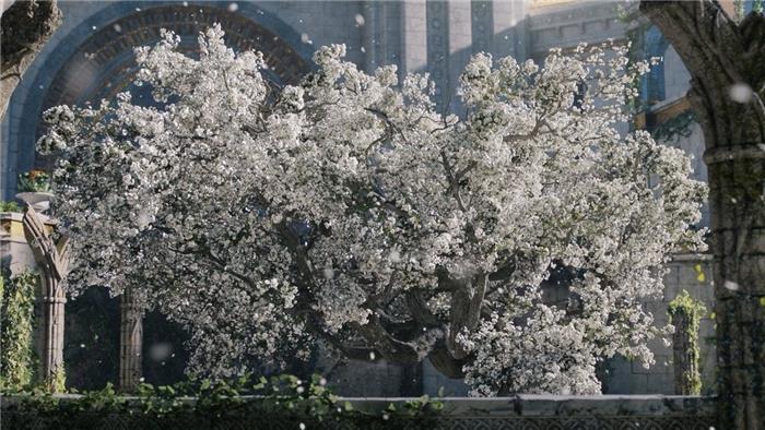 Was ist der weiße Baum von Númenor und wie steht er mit dem weißen Baum von Gondor zusammen?